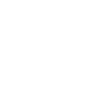 icono webcam